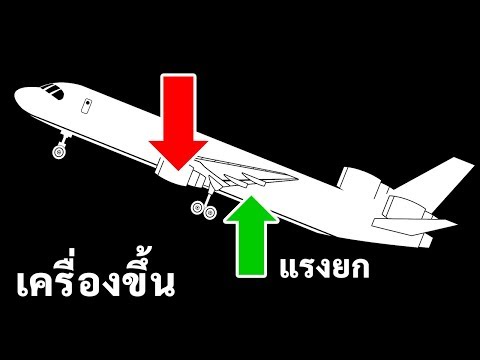 วีดีโอ: แรงในการบินคืออะไร?