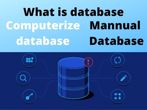 What is database | What is manual database and computerized database ...