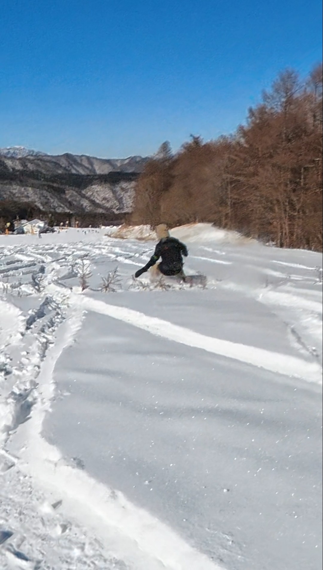 やっぱりパウダーだいすき