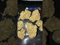 Gas Face🎭 #backwoods #cart #zaza #meds #stoner #yart #cart #review #stayhigh #2g #meds 1g