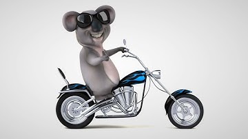 koala 3D