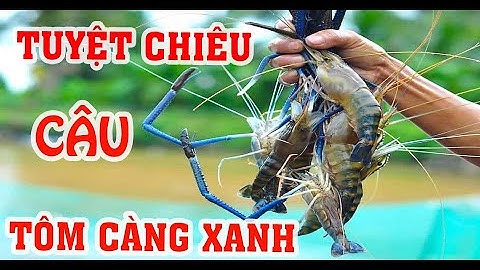 Tuyệt Chiêu Câu Tôm Càng Xanh Không Phải Ai Cũng Biết | Câu Tôm Càng Xanh