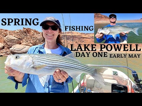 Fishing for Stripers on Lake Powell Utah with Sebile's new lures