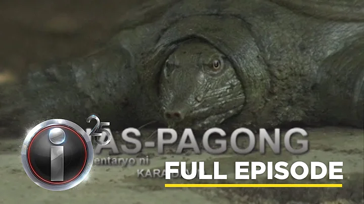 ‘Ahas-Pagong,’ dokumentaryo ni Kara David (Full Episode) | I-Witness