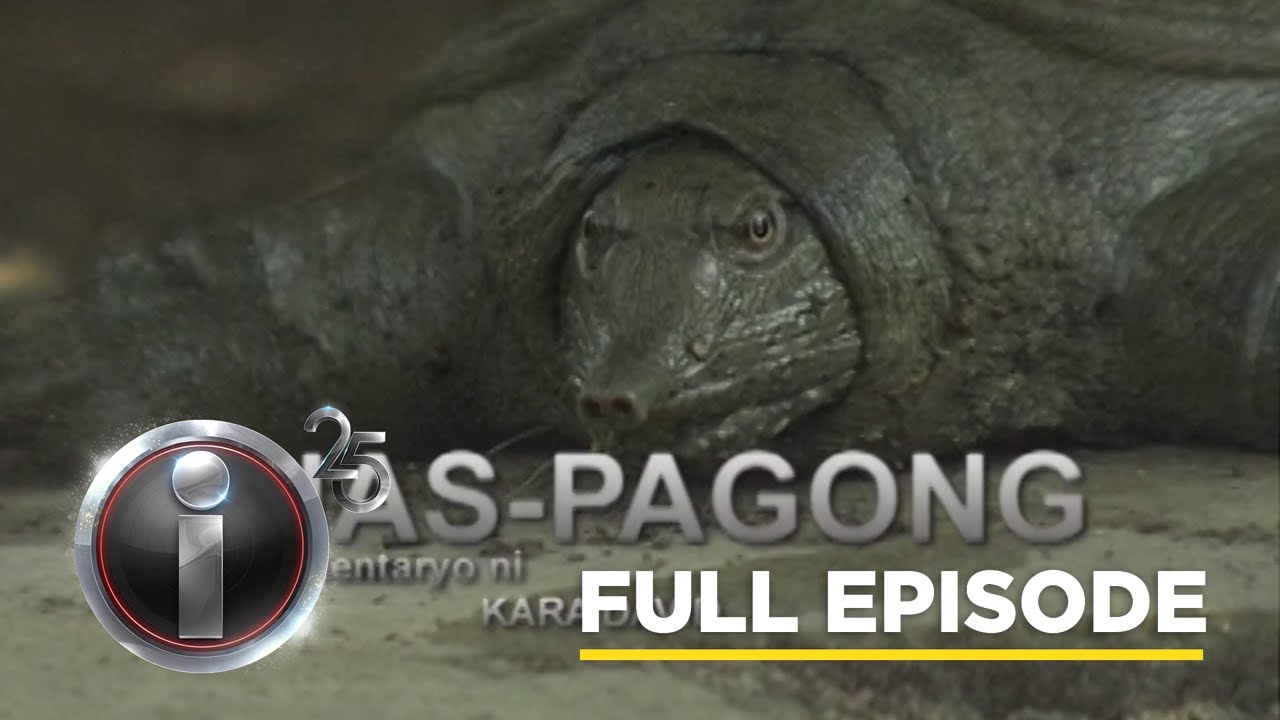 ‘Ahas-Pagong,’ dokumentaryo ni Kara David (Full Episode) | I-Witness