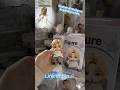 Jimin figure 🥰🎁Link in bio #kpop #figure #jimin #usa #keychaincustom