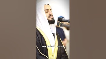 Raad Al kurdi new Whatsapp status 2023 / رعد الكردي حالات واتس اب / سورة الإسراء رعد الكردي