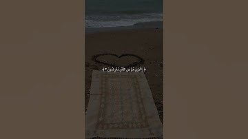 سورة المؤمنون / القارئ ناصر القطامي 🤍.