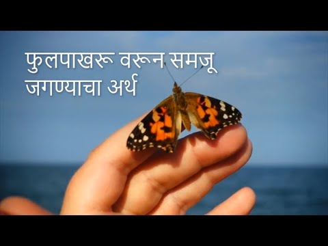 फुलपाखरू वरून समजू जगण्याचा अर्थ | What is the True Meaning of Life | What is the Purpose of Life