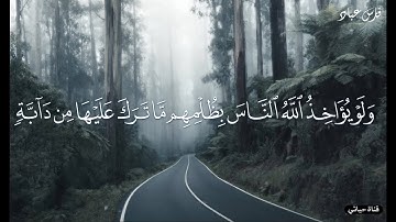 ولو يؤاخذ الله الناس بظلمهم 🥀تلاوة بصوت الشيخ فارس عباد ❤️راحة نفسية  حالات واتس اب دينيه❤️  ا