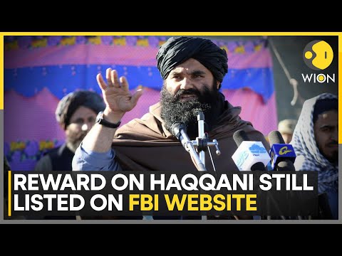 Afghanistan Claims US Lifts $10 Million Bounty On Taliban's Sirajuddin Haqqani | World News | WION