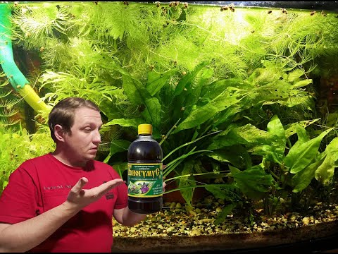 Трех месячный эксперимент в аквариуме с биогумусом