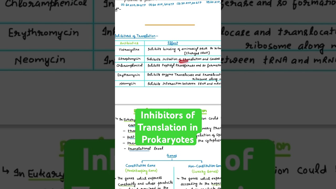 Inhibitors of Translation in Prokaryotes
