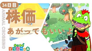 【34日目】株価あがってもいいよ【川鰐グラムのあつまれどうぶつの森実況】（あつ森・ポケ森）
