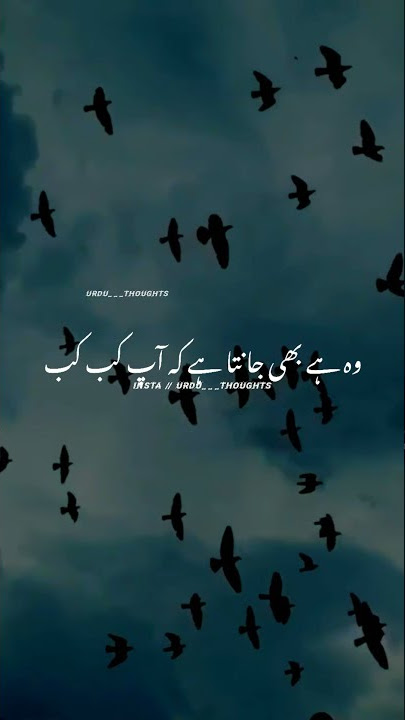 Sabar Status // Sabar Karna Sikhen Kiyu Ki Allah Sab Janta Hai // #shorts // Urdu Thoughts Status