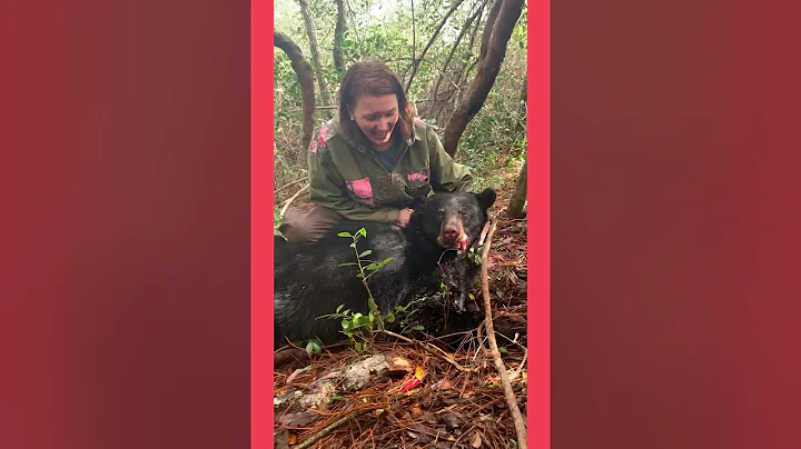 Bear hunting with hounds (Andrea)