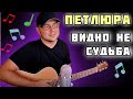 ПЕТЛЮРА - ВИДНО НЕ СУДЬБА - Павел Вайс Кавер - Paul Weiss Cover - Наши Дворовые Песни