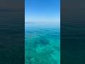 Rare moment: zero wind at the Great Barrier Reef #gbr #nature #peaceful