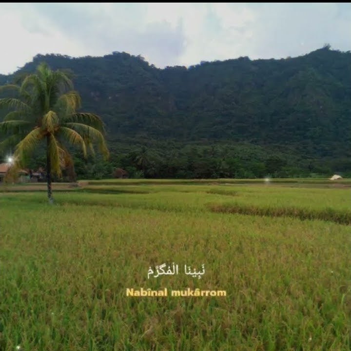 Story wa sholawat Al Qolbu Mutayyam #shorts