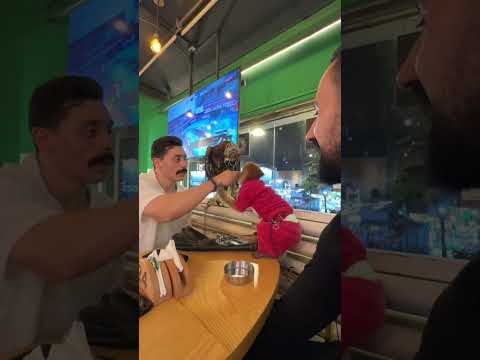 بداره بصحي بيها حيوانات ابو اسيا