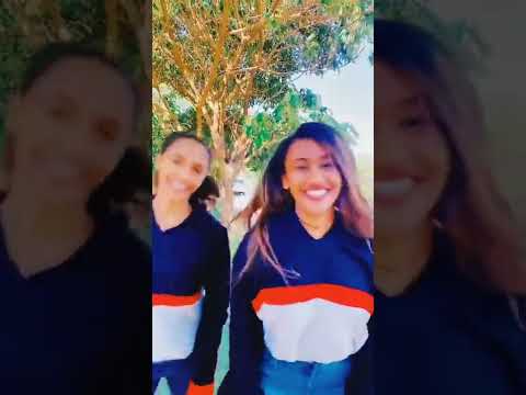 Oromo Music Oromo TikTok Video