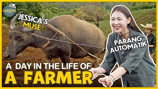 What It Takes to be a Farmer in the Philippines! ‍ | TRABAHO EP. 2