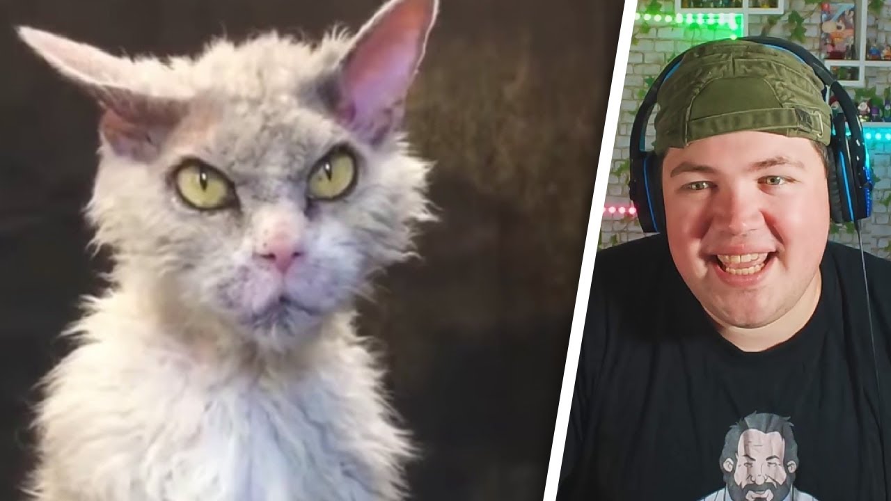 Was Tiere So Denken 48 - 51 | REAKTION