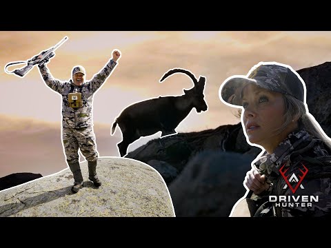Gredos Ibex Hunting in SPAIN!