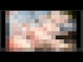 テスト配信