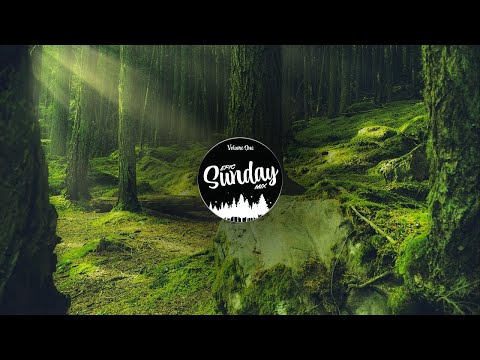 Deep Organic House