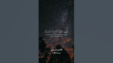 و إذا سألك عبادي عني فإني قريب…"القارئ عمير شميم"
