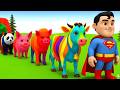 Long Slide Game With Cow Elephant Gorilla Hippopotamus Tiger 3d Animal Game Funny 3d Animals