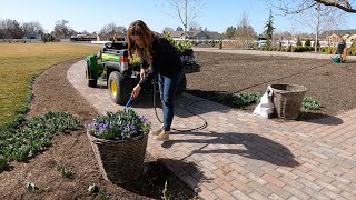 Planting Spring Containers & Hellebores!  // Garden Answer