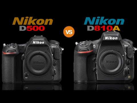 Nikon D500 vs Nikon D810A Full Camera Comparison