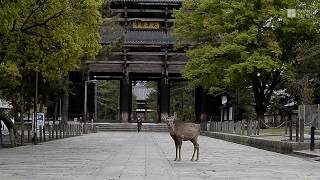 休業要請が始まった奈良の様子