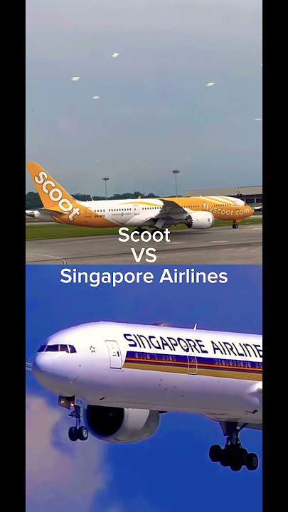 Scoot VS Singapore Airlines #scoot#singaporeairline