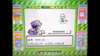 ポケモン赤 緑 青 黄のvcでバグ技 裏技は使える スマホ最新情報局