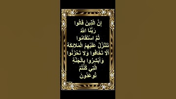 قراءة خاشعة ♥️  سورة فصلت الآية ٣٠