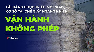Lãi hàng chục triệu mỗi ngày, cơ sở tái chế giấy ngang nhiên vận hành không phép | VTVIndex