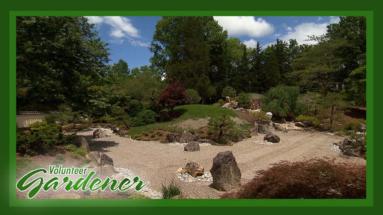 Blevins Japanese Garden | Volunteer Gardener - YouTube