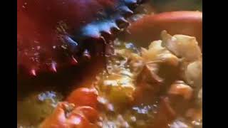Crab curry/ spicy and delicious Crab curry / restaurant style/ for seafood lovers ??
