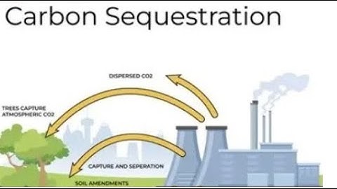 CO2 Sequestration Opportunities and Challenges