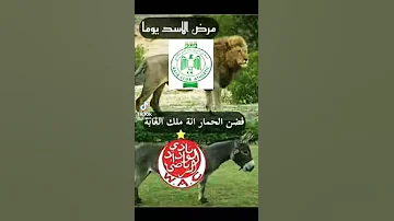 أغاني رجا 