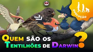 Quem são os Tentilhões de Darwin?