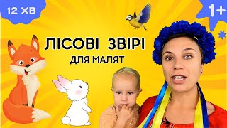 🦔 Тварини в лісі - навчальне відео українською для дітей