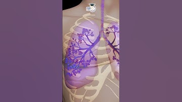 The concept of Respiratory System I Manish Shrivastava I StudyIQ IAS Hindi