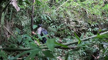 #152. Nấu Ăn Bên Dòng Suối Hoang, Phiêu Lưu Trong Rừng, Cuộc Sống Tự Nhiên