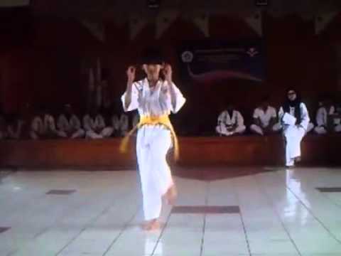UNSUR-UNSUR YANG TERKANDUNG DALAM PENCAK SILAT - SABILISLOW