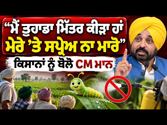 "ਮੈਂ ਤੁਹਾਡਾ ਮਿੱਤਰ ਕੀੜਾ ਹਾਂ, ਮੇਰੇ 'ਤੇ ਸਪ੍ਰੇਅ ਨਾ ਮਾਰੋ", ਕਿਸਾਨਾਂ ਨੂੰ ਬੋਲੇ CM ਮਾਨ
