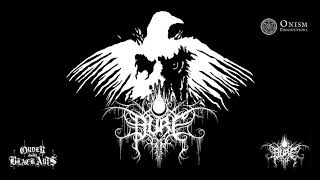 Pure - Seeds of Despair